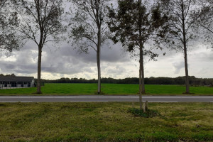PvdA:  Bescherm groene oase tussen Leiden en Den Haag